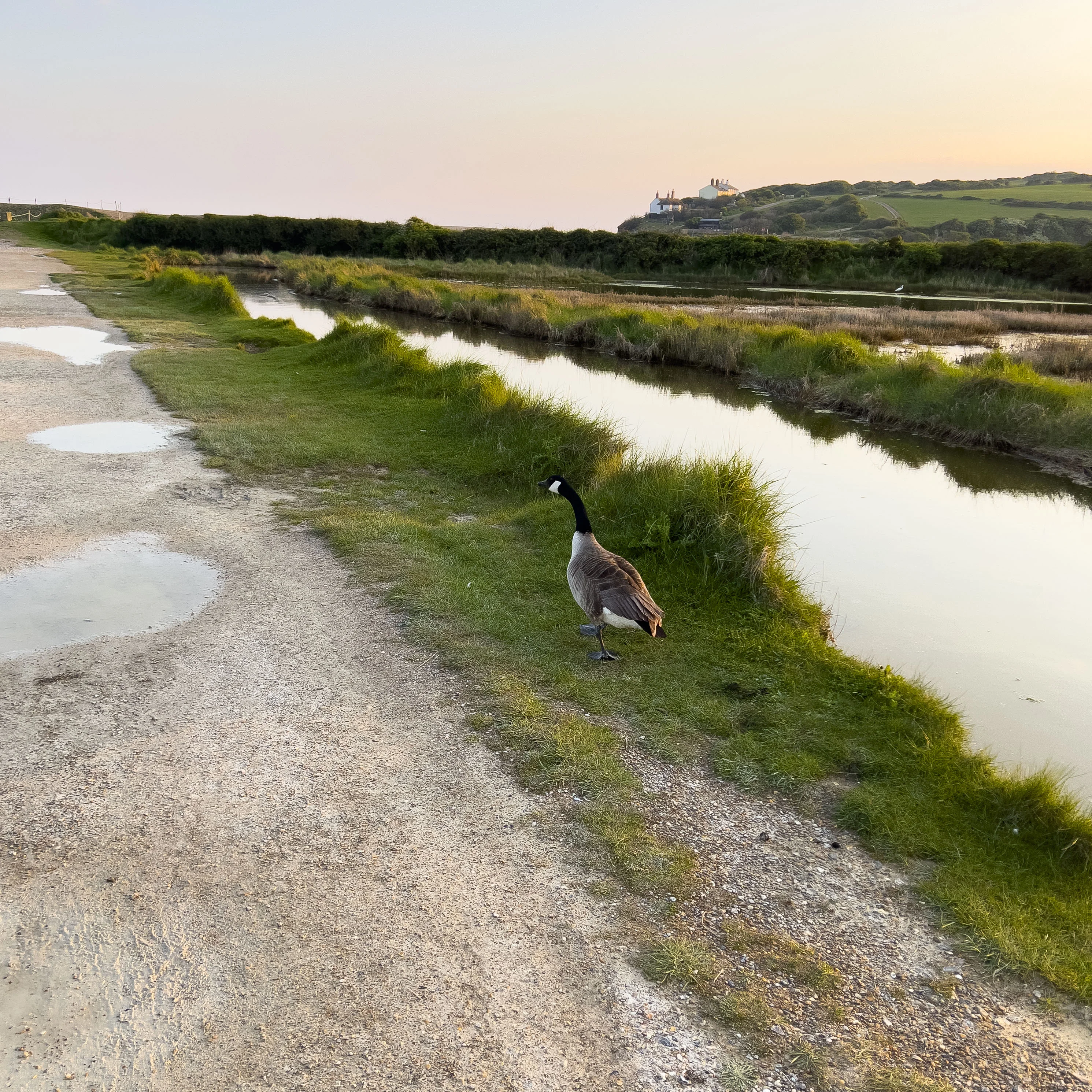 The stunning views showing the whole of beachy head whilst sat in the pub garden